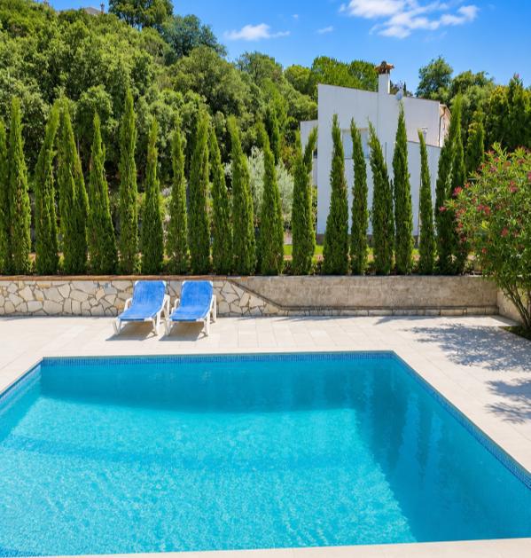 Swimming pool framed by cypress trees